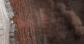 Carbonic snow and dust avalanche on Martian slopes