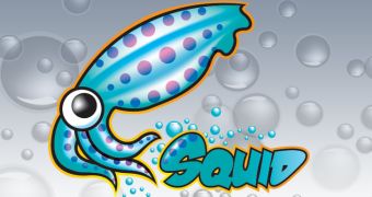 Squid 3.2.6 Released with Maintenance Fixes