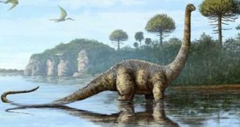 Large herbivorous dinosaurs had wide, squishy joints, researchers say