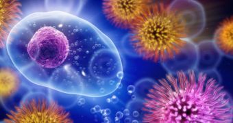 Reseachers explain how staph bacterium destroys the immune system