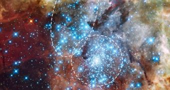 Two star clusters at the core of 30 Doradus are now beginning to merge