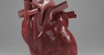 Researchers claim stem cells can restore correct cardiac motion