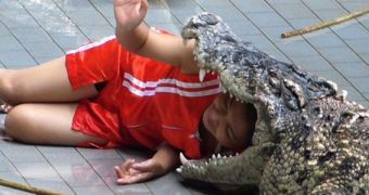 Crocodile trainers in Thailand probably have one of the most dangerous jobs in the world