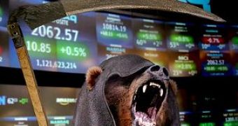 The way that stock markets seem to react to crisis is just like plants and animals do.