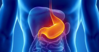 Bacterium found in the human stomach switches off the immune system