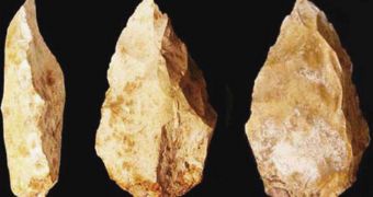 These are some of the stone tools unearthed near the Persian Gulf