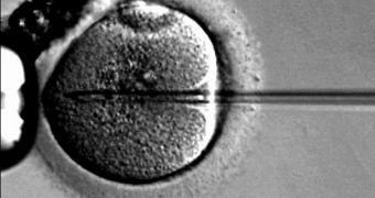 In-vitro fertilization of a woman's egg