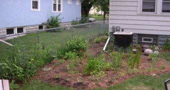 Image showing an individual rain garden around a house drain pipe