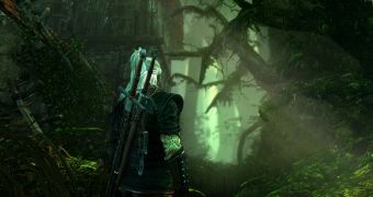 Story Is Crucial to The Witcher 2 Success