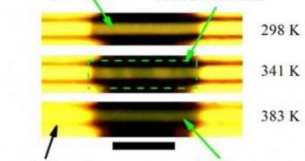 These optical images of a multiple-domain vanadium oxide microwire taken at various temperatures show pure insulating (top) and pure metallic (bottom) phases and co-existing metallic/insulating phases (middle) as a result of strain engineering