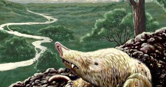 Necrolestes patagonensis, Miocene molelike mammal survived dinosaurs extinction