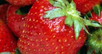 Strawberries are extremely rich in anti-oxidants