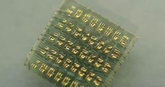 Image of the stretchable silicon-rubber circuit