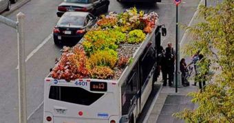 Having gardens grow on top of buses can help us fight urban air pollution