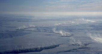 Exposed waters in the Arctic attract mercury from the atmosphere