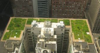 Green roof on top of City Hall, in Chicago, Illinois