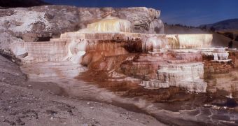 Minerva Terrace and Spring, part of Mammoth Hot Springs in Yellowstone National Park, photographed in 1963