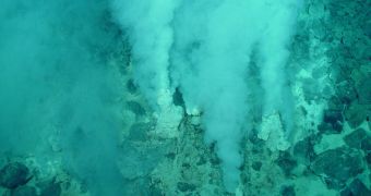 Ocean floor hydrothermal vents are extremely difficult environments to survive in, yet many organisms find a way
