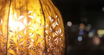 Stunning Laser-Cut Lamps Are Made of Kelp