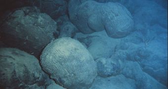 Underwater structures may hold hints of how ancient people dealt with sea-level rise