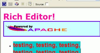 Example of an Online Rich Text Editor