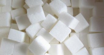 Large intakes of sugar lead to neurochemical changes in the brain