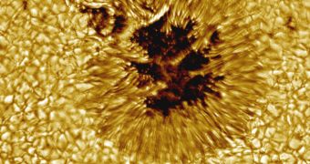 Sunspot close-up