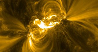 SDO image showing the massive sunspot that developed on the Sun on February 13