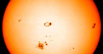 The Sun remains surprisingly constant in size over the years, scientists find