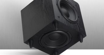 Sunfire Dynamic Series Subwoofer