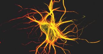 Neurons connect to each other tridimensionally, and that's the main reason why their storage and recall abilities are virtually endless