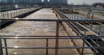 A new study suggests that dangerous bacteria are not only escaping purification but also breeding in two Chinese wastewater treatment plants