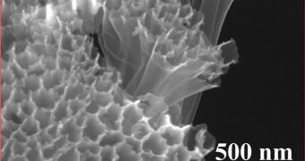 This SEM photo shows hollow carbon nanofiber-encapsulated sulfur tubes, at the heart of a new battery design developed at Stanford