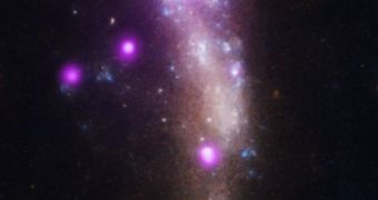 Supernova Blast Wave Pierces Stellar Cocoon [Photo]
