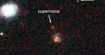 Supernova SCP-0401, nicknamed “Mingus,” is 10 billion light years away