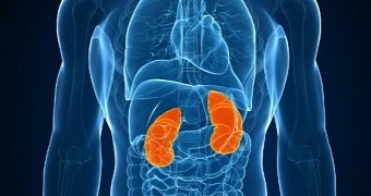 Surgeons Remove a Whopping 420 Stones from Man's Left Kidney