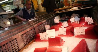 Chunks of raw tuna in a Tokyo fish market