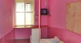 Pink prisons in Switzerland have calming effects