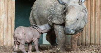 Zoo in Switzerland welcomes baby Indian rhino