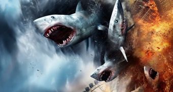 “Sharknado: The Second One” airs in July, a third film has been confirmed for next summer