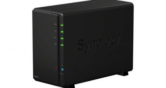 Synology DiskStation DX213