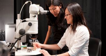 Graduate student Yu Lin (seated) and Stanford assistant professor Wendy Mao develop new form of amorphous carbon that is just as hard as diamond, but has none of its flaws