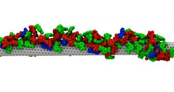 This is a model of a carbon nanotube-based sensor covered in tracking molecules