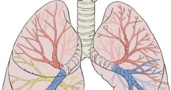 CWRU experts create artificial lung
