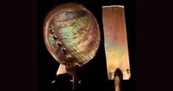 Synthetic mother-of-pearl created at the University of Cambridge