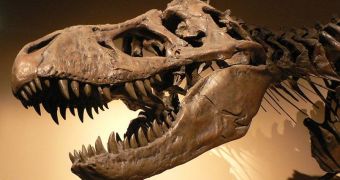 In 2005, experts identified peptide fragments from a 68-million-year-old Tyrannosaurus Rex