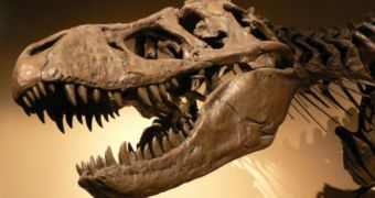 T-Rex Returned to Mongolia After Being Smuggled in the US