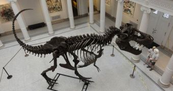 Tyrannosaur Rex skeleton on temporary display in entrance hall of New Orleans Museum of Art.