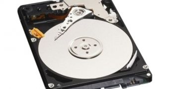TDK HDDs may reach 6TB within the next two years