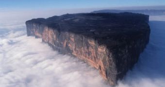 Mount Roraima raising from the foggy savanna